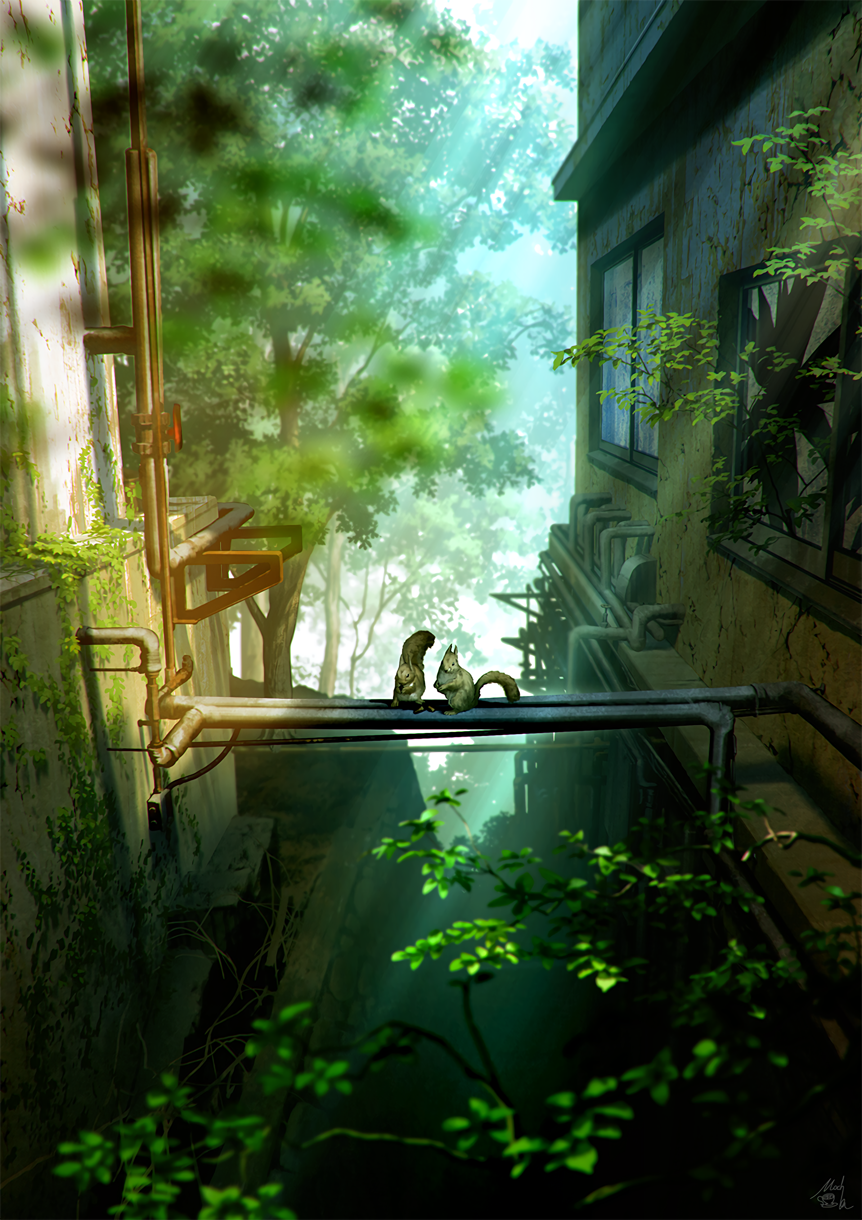 squirrels pipes alley sunlight forest