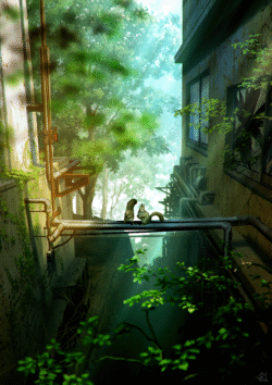 squirrels pipes alley sunlight forest overgrown nature abandoned building greenery urban exploration scenery peaceful morning rays moss