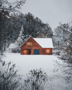 winter cabin forest snow wooden house nature cold seasonal rural scene frost white trees moody remote