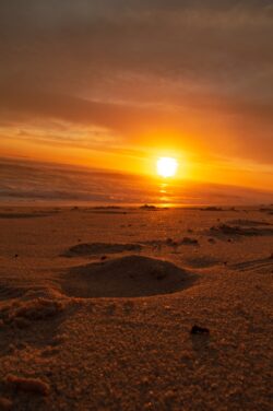 beach sand sunset ocean coast golden hour nature summer shore sunlight sea travel waves peaceful serene