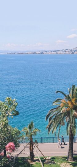 coastal city view Mediterranean coast blue sea palm trees seafront promenade clear sky people walking urban skyline French Riviera sunny day European landscape resort town ocean view green foliage
