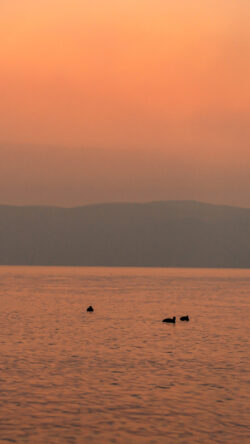 sunset ocean lake water birds ducks silhouette mountains horizon orange pink sky minimal nature calm serene