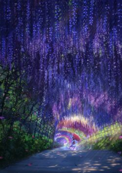 wisteria tunnel purple flowers japanese garden schoolgirl umbrella floral spring nature tranquil dreamy pathway botanical zen romantic