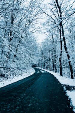 snowy road winter forest curving path icy asphalt tree branches snow covered trees cold landscape nature trail dark blue tones frosted woods winter drive seasonal scenery quiet road winter wonderla