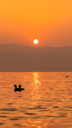 sunset ocean lake water ducks birds silhouette mountains horizon orange sky minimal nature golden hour vibrant