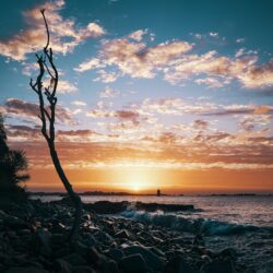 sunset rocky beach ocean seascape dramatic sky clouds lighthouse dead tree silhouette wave minimalist vibrant orange blue