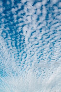 altocumulus clouds blue sky white fluffy texture cloudscape nature minimal daytime weather skyline vibrant simple