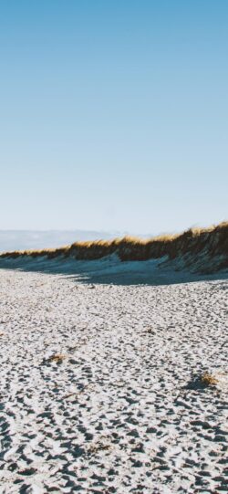 sandy beach tall grass dune vegetation clear blue sky beach landscape coastal view bright sun golden grass minimalist scenery white sand vacation spot ocean shore sunny day beach grass natural san