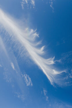 blue sky cirrus cloud feather high altitude weather nature clear day minimal clean fluffy white atmosphere abstract