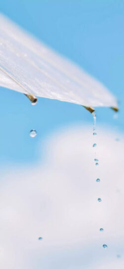 rain drops water umbrella blue sky transparency fresh weather purity macro nature calm refraction monsoon closeness