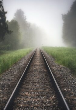 railway fog forest tracks nature mysterious moody path journey travel green grass trees mist perspective quiet