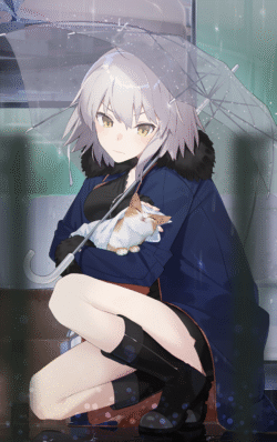 girl rain umbrella cat winter coat boots street gloomy cold white_hair short_hair holding pet atmosphere dark