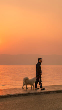 sunset dog samoyed leash man walking sea water calm goldenhour haze peaceful outdoor dock silhouette