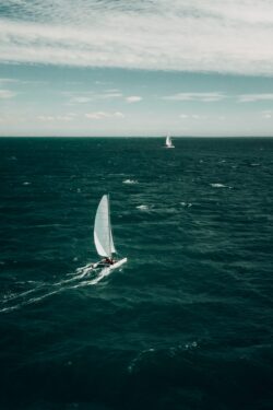 sailboat ocean sailing sea water waves catamaran adventure travel nautical maritime horizon blue white sails outdoor