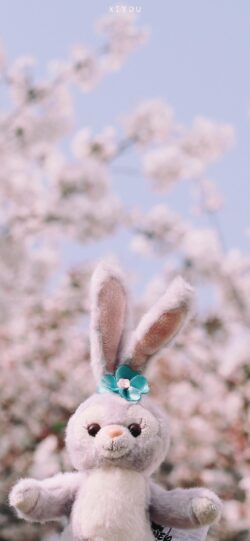 bunny plush cherry blossom sakura pink spring soft cute kawaii toy pastel flower outdoor stuffed animal nature wallpaper