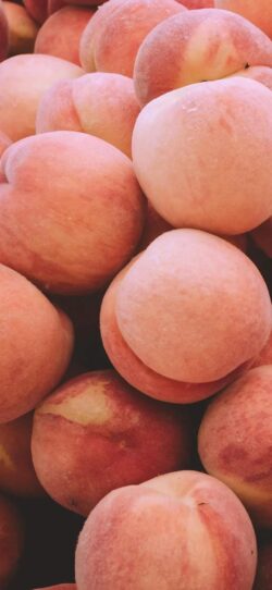 peaches fruit fresh organic summer harvest sweet healthy food market produce peach fuzzy pink delicious vitamin