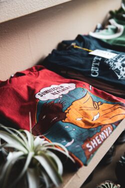 tshirt red graphic design clothing retail display indoor plant merchandise fashion dark vibrant closeupshot