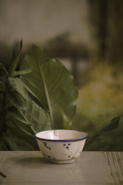 bowl ceramic blueandwhite vintage stilllife plant greenery minimal rustic outdoor blur tabletop antique