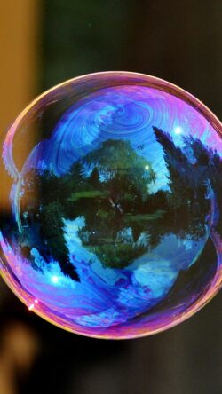 bubble soap reflection rainbow iridescent colors macro photography sphere abstract art physics optics surface tension transparent ethereal dreamy