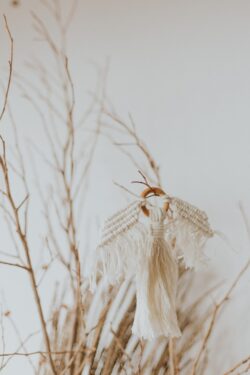 macrame angel christmas ornament minimalist decor boho white textile craft hand made soft focus indoor simple natural branches