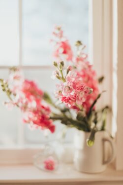 flowers pink vase window light spring soft floral interior decor romantic sunlight blossom pastel still life nature