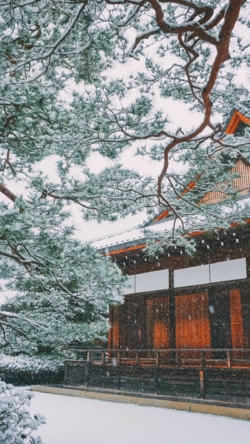 Japanese garden winter snow pine tree branches traditional architecture wooden structure Kyoto temple snowy roof falling snow Japanese culture serene garden winter scenery Asian aesthetic historic b