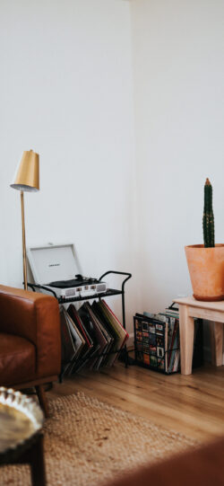 vinyl records player turntable interior design home decor cactus scandinavian style music vintage retro living room modern lighting