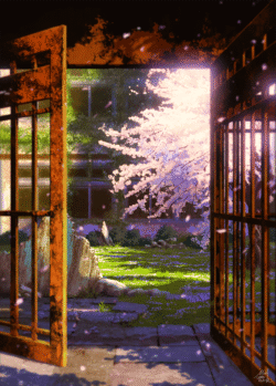 cherry blossom sakura garden abandoned building spring flowers sunlight petals peaceful nature traditional gate outdoor scenery floral view serene