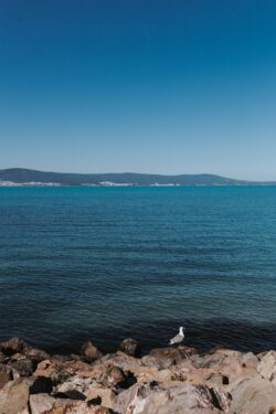 sea ocean blue water horizon gull seagull rocks minimal sky mountain coast seascape nature clean vibrant