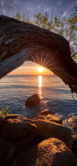 tree sunset rocks lake coast sun rays golden hour nature scenery shore peaceful evening view reflection landscape