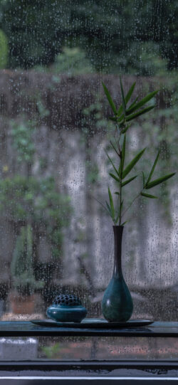 zen bamboo vase interior rain window moody peaceful home decor ikebana still life calm nature indoor serenity